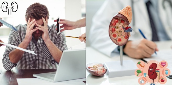 How Stress Affects Kidney Health: Signs to Watch For